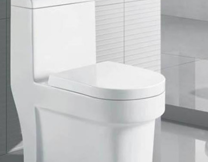 涿州东城坊马桶疏通哪家好